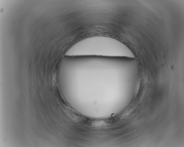 X0000072520177200607140946