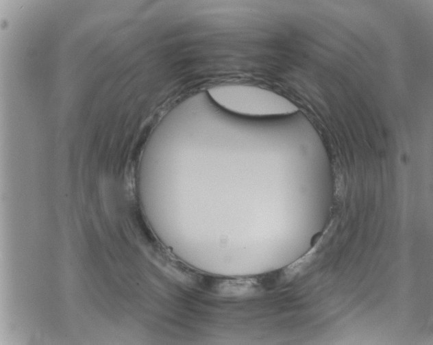 X0000072520179200607140946