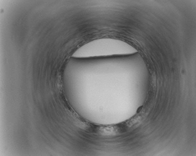 X0000072520181200607140946