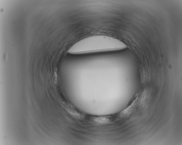 X0000072520183200607140946