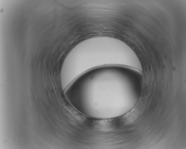 X0000072520184200607140946