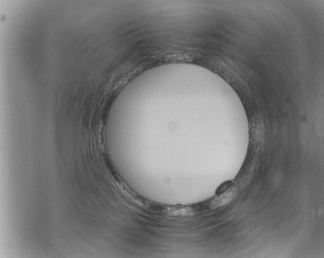 X0000072520185200607140946