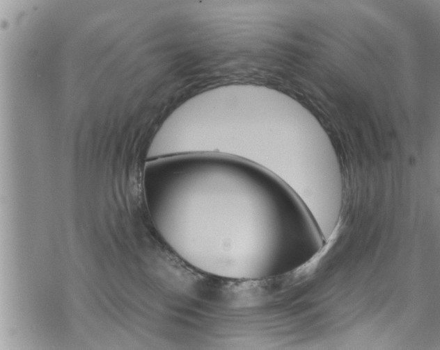 X0000072520186200607140946