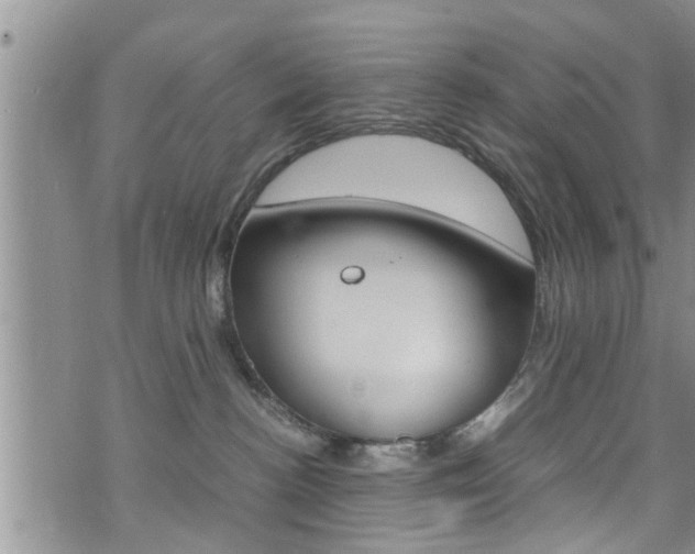 X0000072520188200607140946