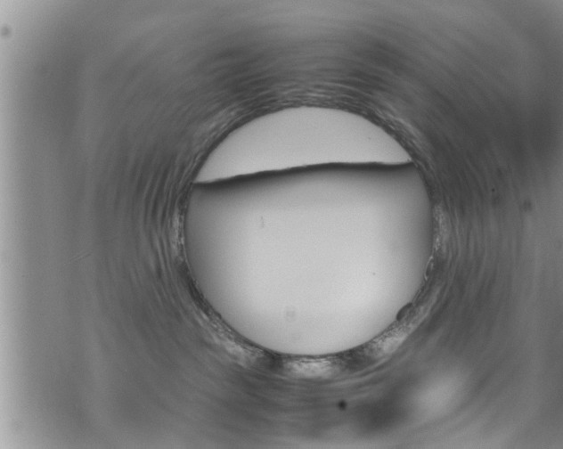 X0000072520189200607140946