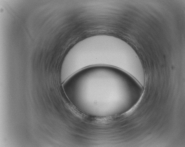 X0000072520190200607140946