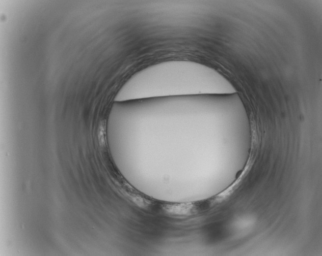 X0000072520191200607140946