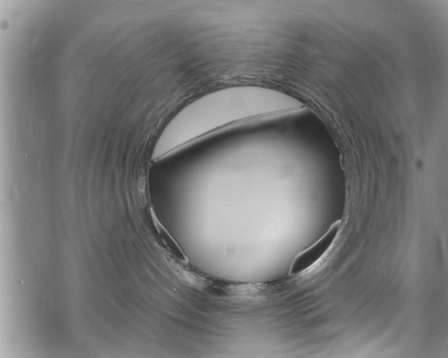 X0000072520192200607140946