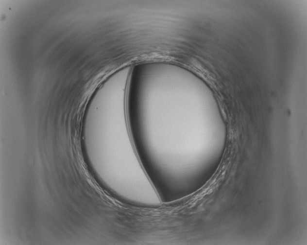 X0000072520193200607140946