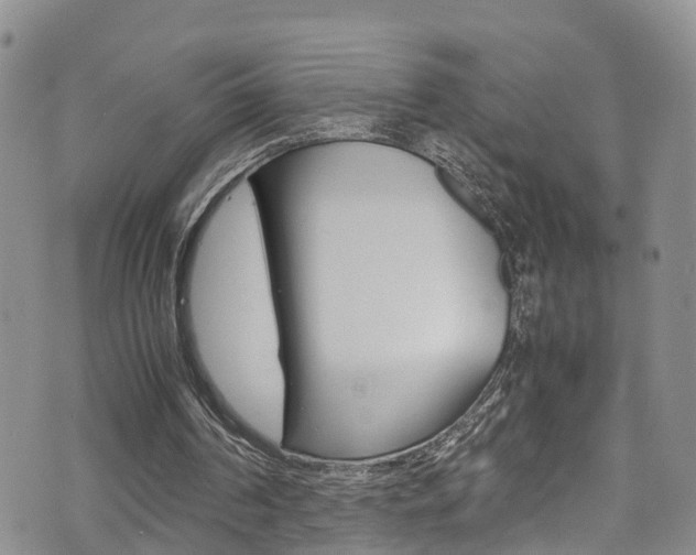 X0000072520194200607140946