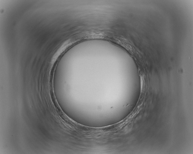 X0000072520195200607140946