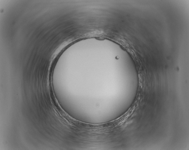 X0000072520196200607140946