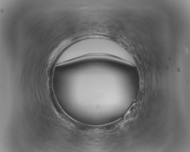 X0000072520197200607140946