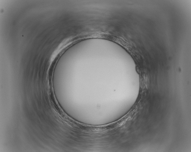 X0000072520198200607140946