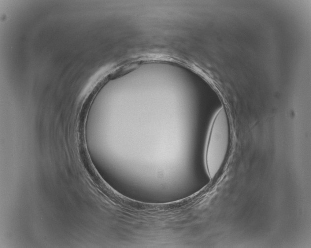 X0000072520199200607140946