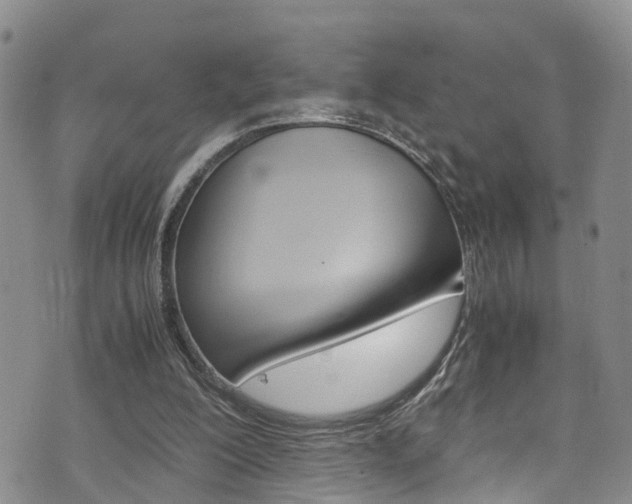 X0000072520200200607140946