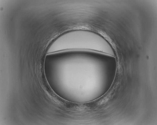 X0000072520201200607140946