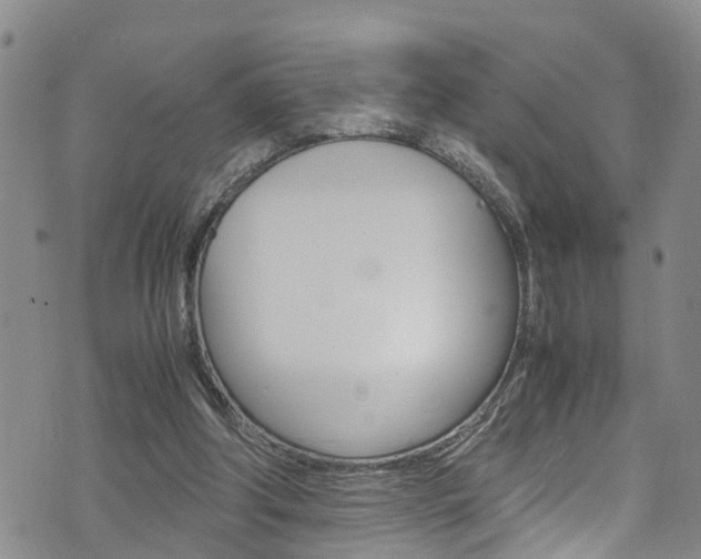 X0000072520202200607140946