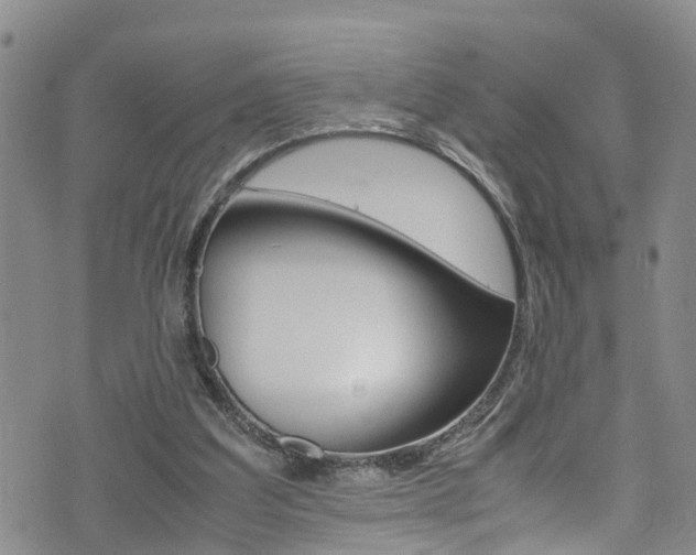 X0000072520203200607140946