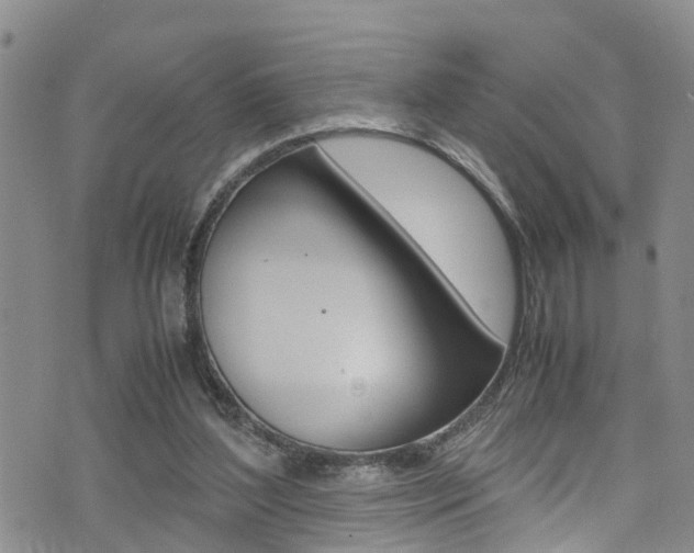 X0000072520204200607140946