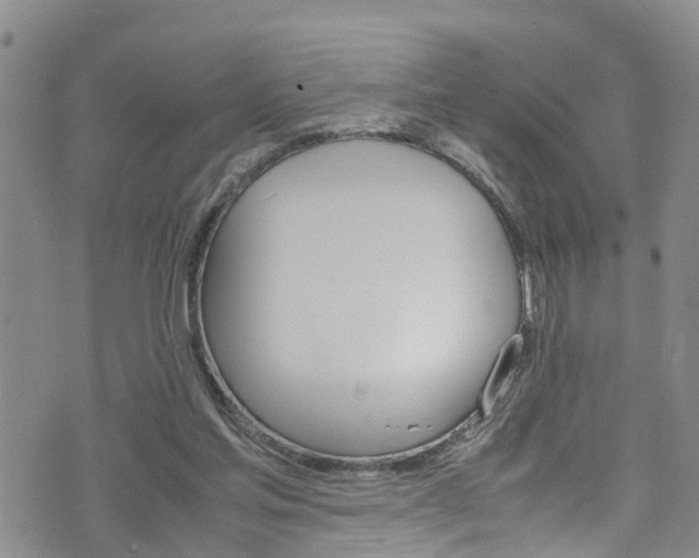 X0000072520205200607140945