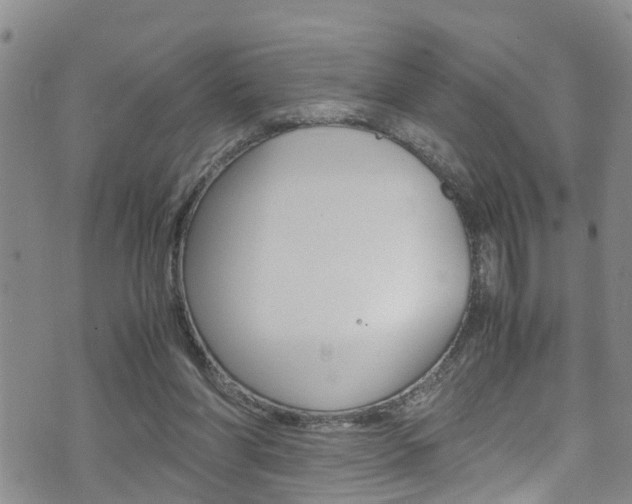 X0000072520206200607140945