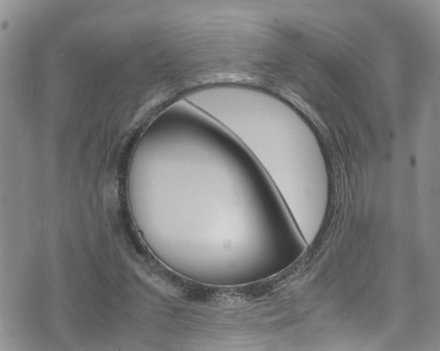 X0000072520207200607140945