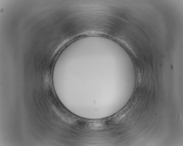 X0000072520208200607140945