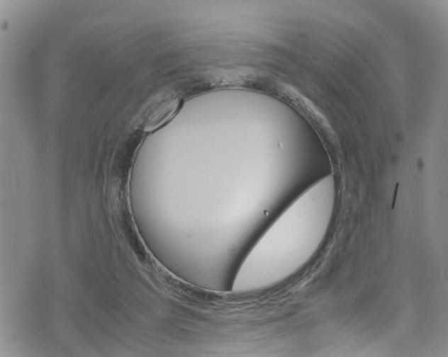 X0000072520209200607140945