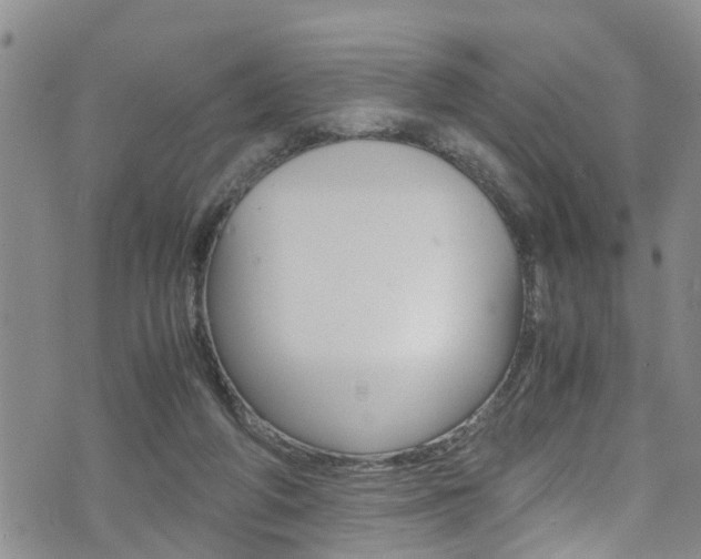 X0000072520210200607140945