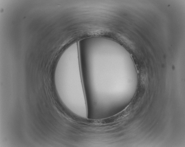 X0000072520211200607140945