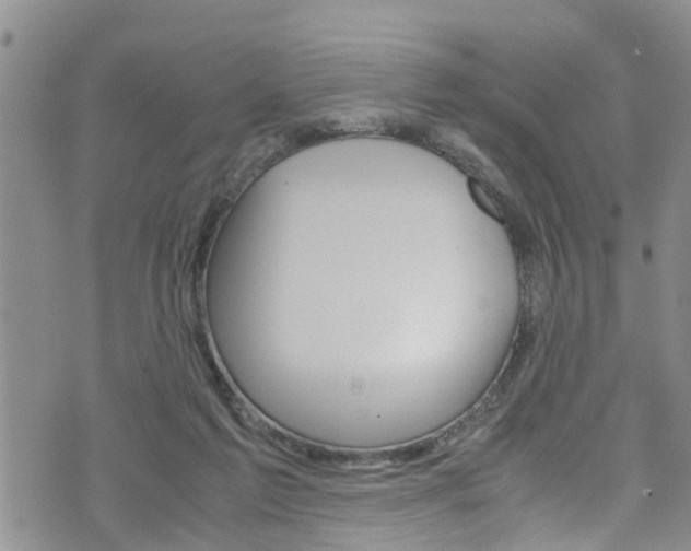 X0000072520213200607140945