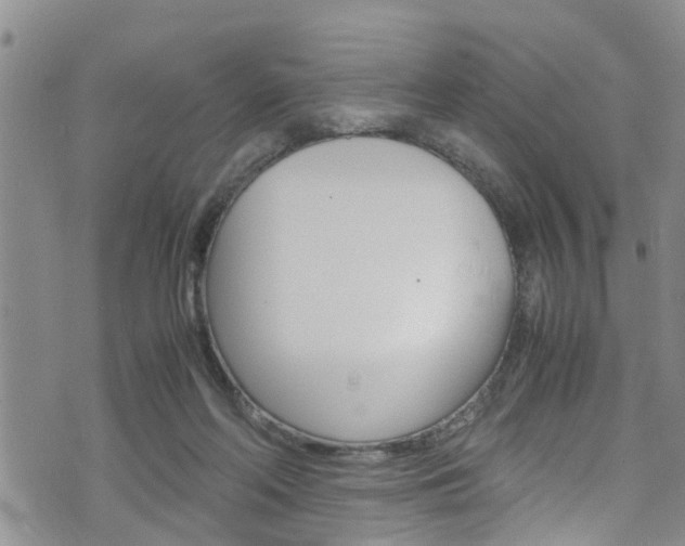 X0000072520214200607140945