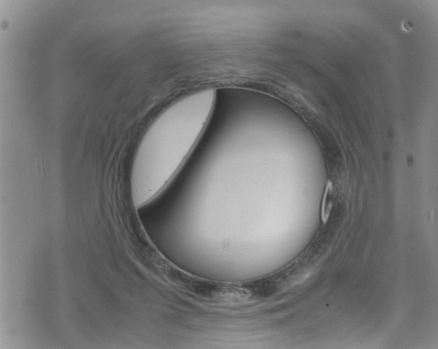 X0000072520215200607140945