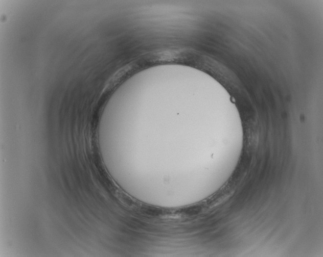 X0000072520216200607140945