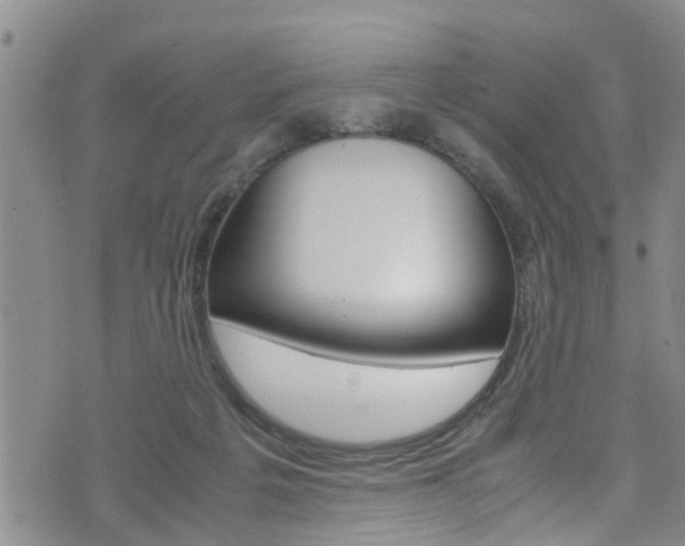 X0000072520217200607140945