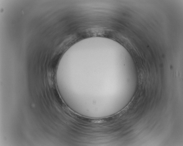 X0000072520218200607140945