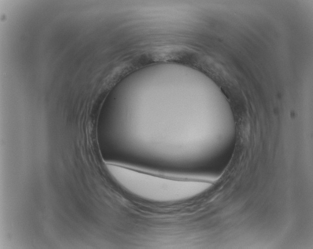 X0000072520219200607140945