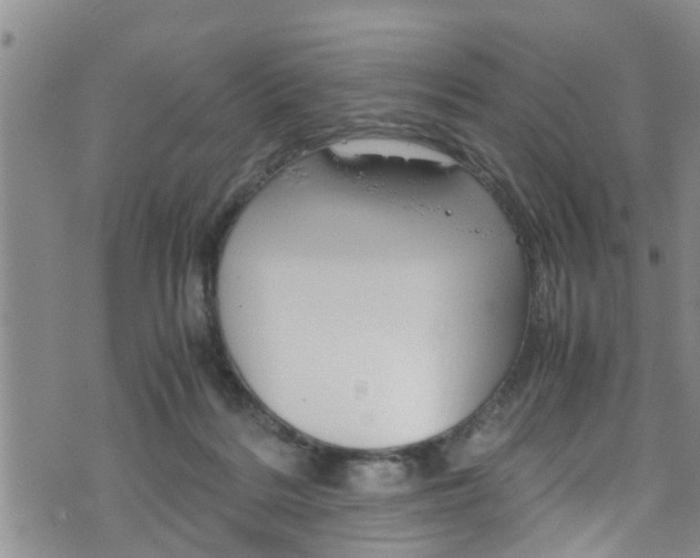 X0000072520220200607140945