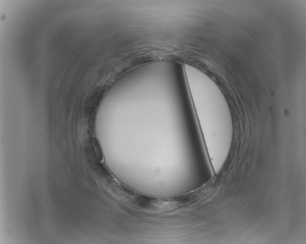 X0000072520221200607140945