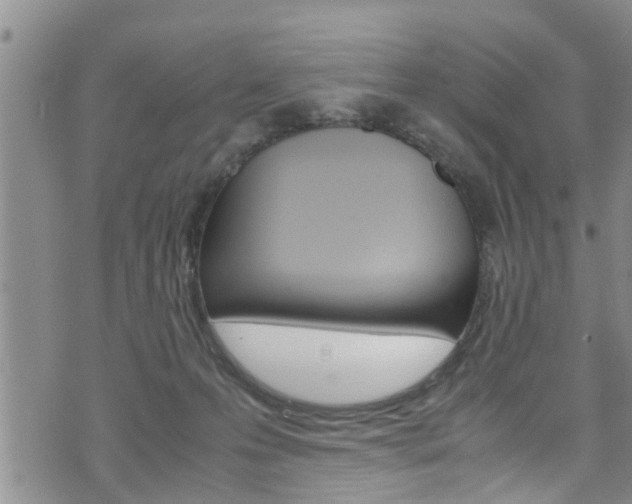 X0000072520223200607140945