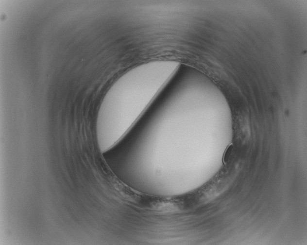 X0000072520224200607140945