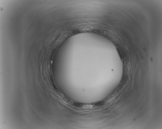 X0000072520227200607140945