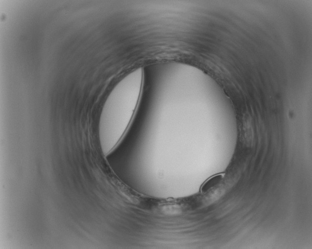 X0000072520228200607140945