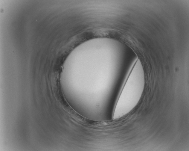 X0000072520229200607140945