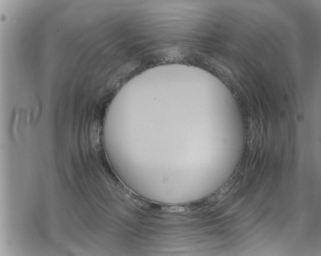 X0000072520230200607140945