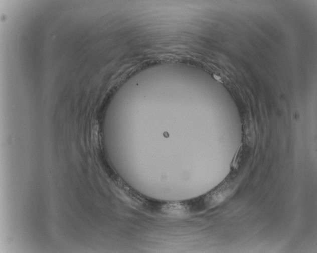 X0000072520231200607140945