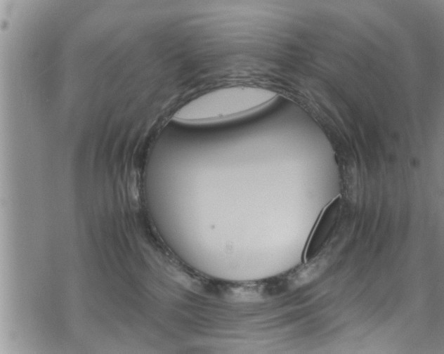 X0000072520232200607140945