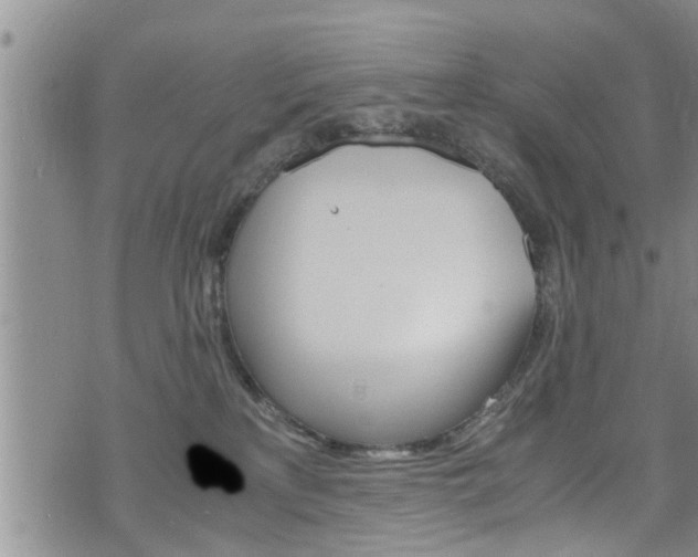 X0000072520233200607140945