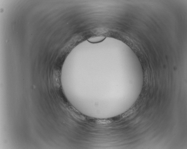 X0000072520234200607140945